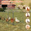 Grand poulailler en métal, enclos imperméable pour la cour de 10 pi x 40 po, cloche portative pour poulet, lapin, canard