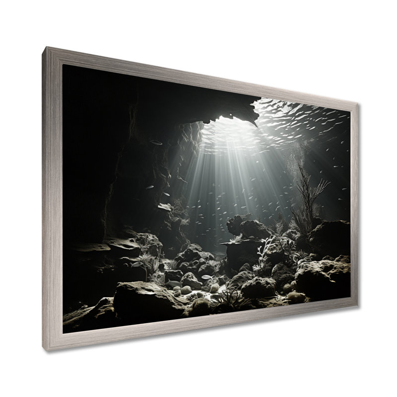 «Black and White Underwater Coral World - Coastal Coral Under Water», art mural encadré, Cadre simple argenté