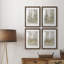 Thicket of Trees I - ensemble de 4 peintures encadrées-1022457431-1022457426