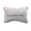 Lumbar Indoor/Outdoor Pillow Cover & Insert