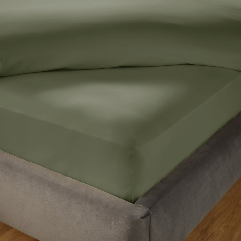 Silentnight Pure Cotton 200 TC Extra Deep Fitted Sheet, Kingsize (5'), Green