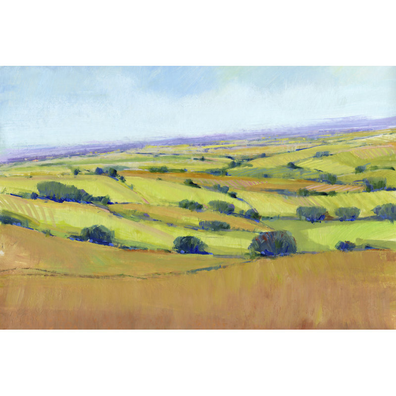 " Patchwork Vista I " by Timothy O' Toole Painting Print, 20" H x 30" W