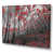 Toile tendue