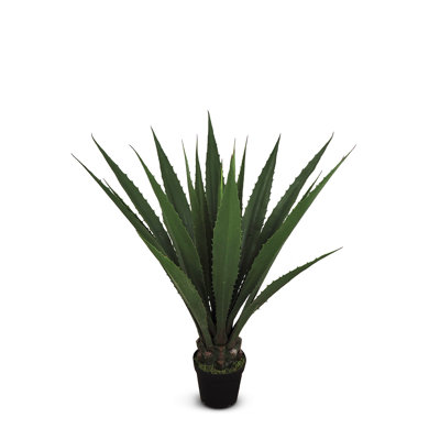 Fausse agave botanique au fini vert