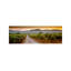 Vineyard Road, Napa Valley, California, USA - Wrapped Canvas Panoramic Print-1188847551