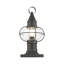 Aster Transparent Lantern Head-1606869822