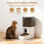 Food Storage And Container