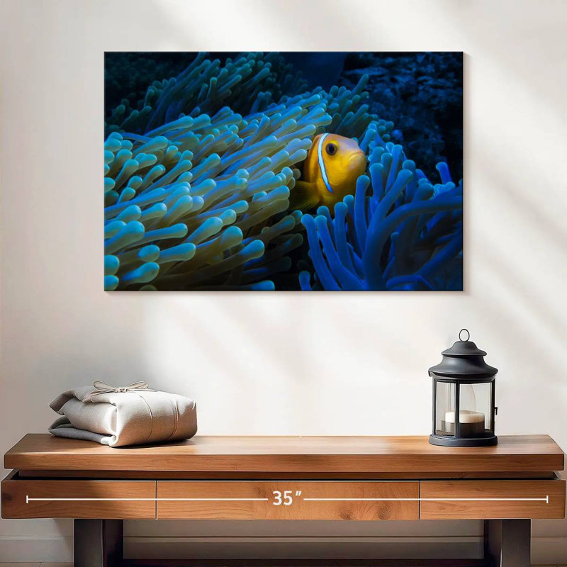 Lurking Clownfish, 16" H x 24" W