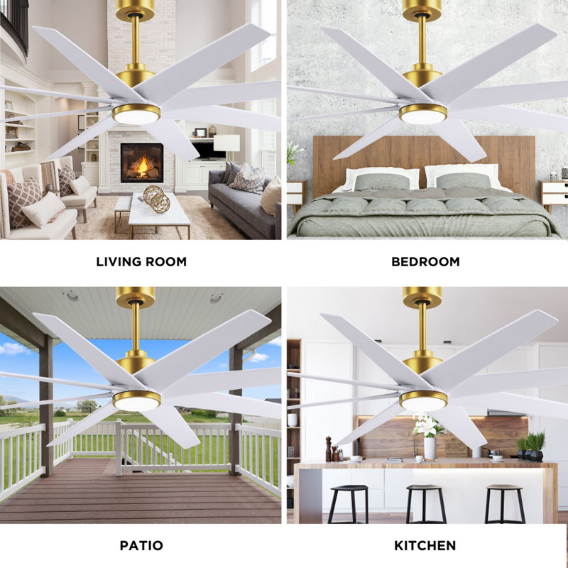 Ariella - Eight Blade Ceiling Fan - Integrated LED - Matte Black Finish - Matte White Blades, Brushed Brass, Matte White