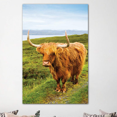 Highland Cow III by Susanne Kremer - Wrapped Canvas Print