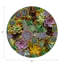 Succulents Vegan Leather Round Pebble Placemat-2124161214