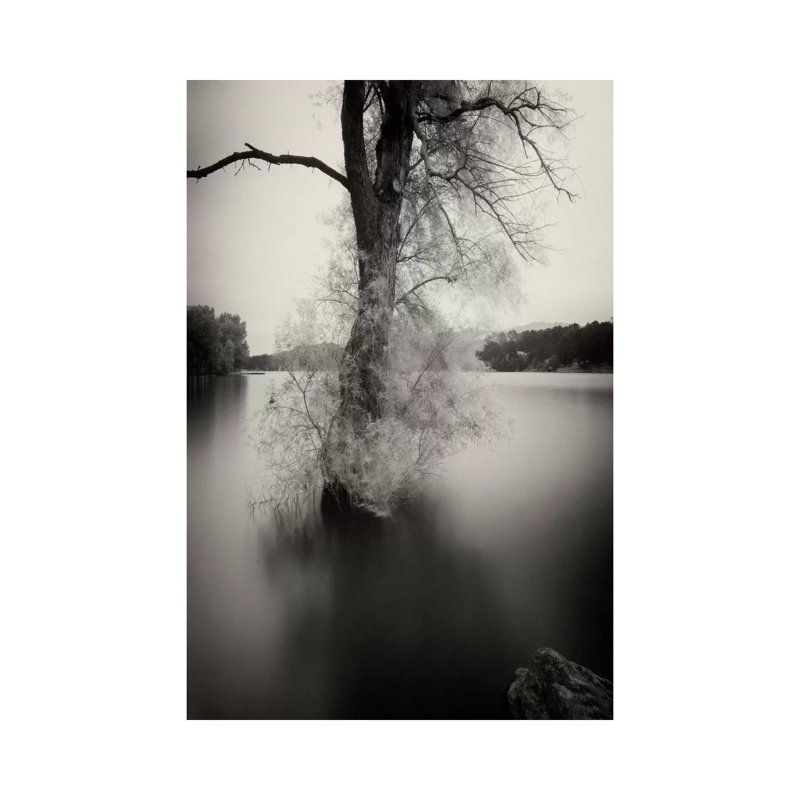 Surfactant 1 Piece Wrapped Canvas Wall Art