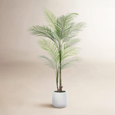 Amarillo 84" Palm Tree in Pot