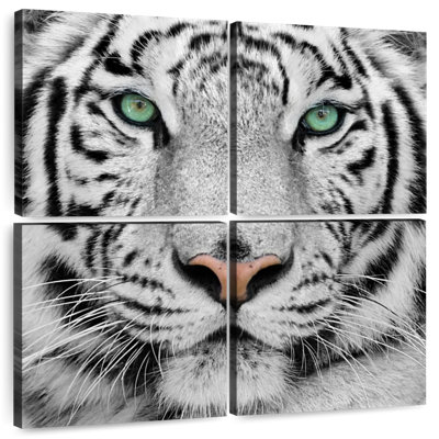 Tigre blanc aux yeux verts Brampt