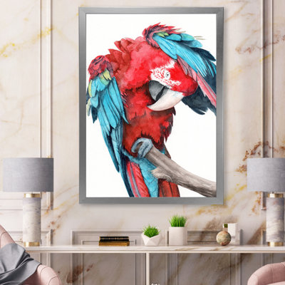 Grand perroquet avec des ailes rouges et bleues colorées - reproduction sur toile