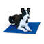 Tapis Coolin 'Pet-21228838