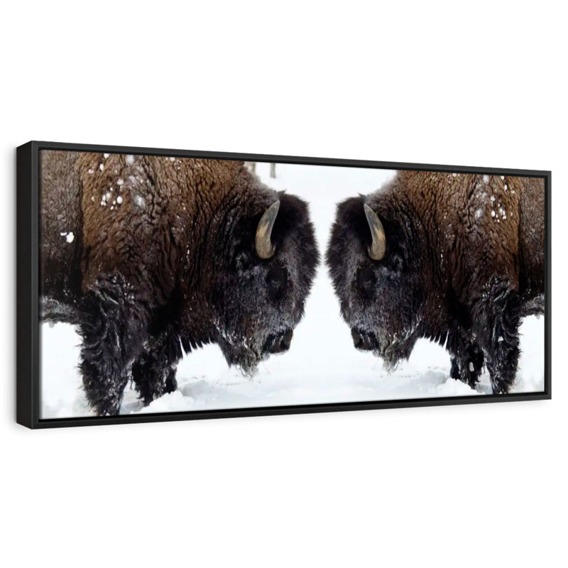 Bison Clash, 37 po x 13 po, Cadre flottant noir