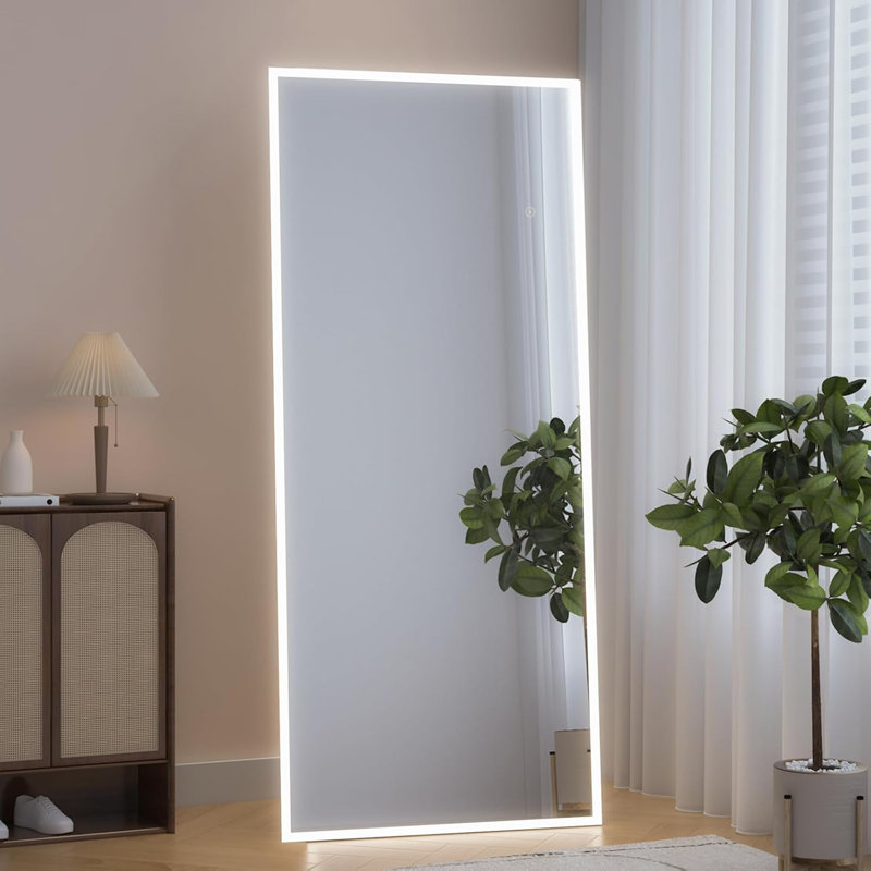 165x60cm Full Length Floor Standing Mirror with LED Light, Dimmable Color and Brightness Adjustable