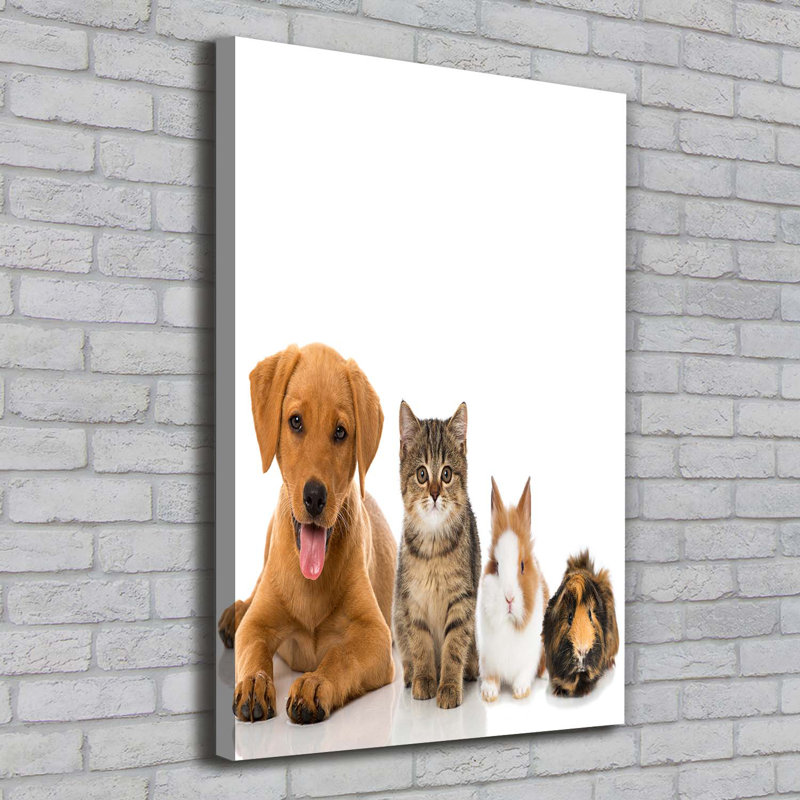 Pets - Wrapped Canvas Print