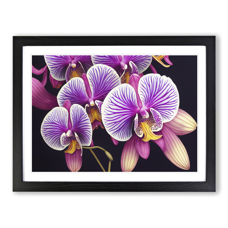 Adventurous Orchid Flowers - Single Picture Frame Print, Black Framed, 46cm H x 64cm W x 2cm D