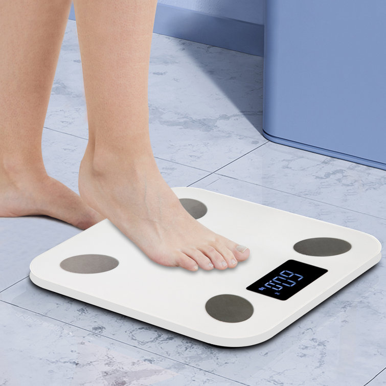 Smart BMI Digital Scale Bluetooth Scale White Wayfair Samples