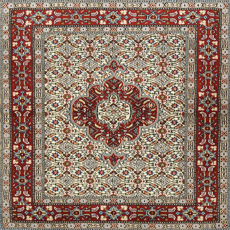 Cerellia Oriental Indoor Rug, Square 8'