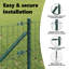 Galvanised Steel Border Fencing-422692892-422692888
