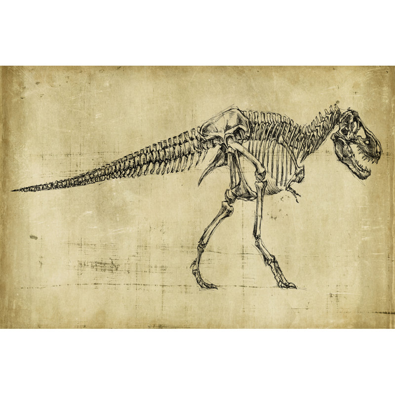 Tyrannosaurus Rex Study by Ethan Harper - Art Prints on Canvas, 51cm H x 76cm W x 3.8cm D