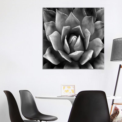 Black and White Succulent II 1 Piece Wrapped Canvas Wall Art