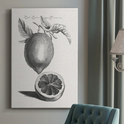 " Antique Lemons & Oranges III " Painting Print