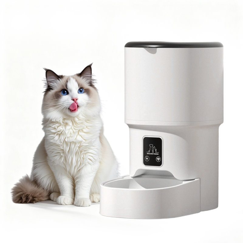 Automatic Feeder