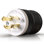 20 Tamper Resistant Single Outlet