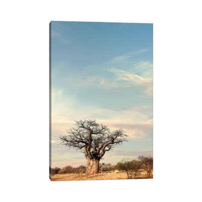 Naye Naye Baobab IV by Klaus Tiedge - Wrapped Canvas Print