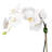Silk Orchid Arrangement-70050656
