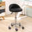 Backed Adjustable Height Ergonomic Lab Stool with Wheels-1535761492