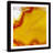 " Lemon Agate "-17696795