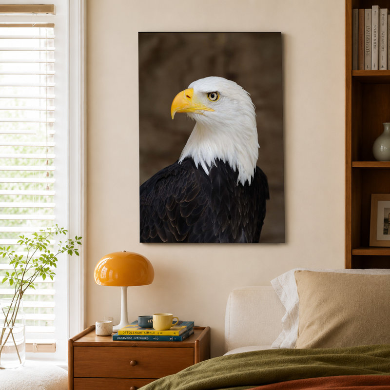 Affiche d'aigle à tête blanche, Conception de l'œuvre d'art-1, 24x36inch