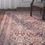 Amora Oriental Area Rug-20354670