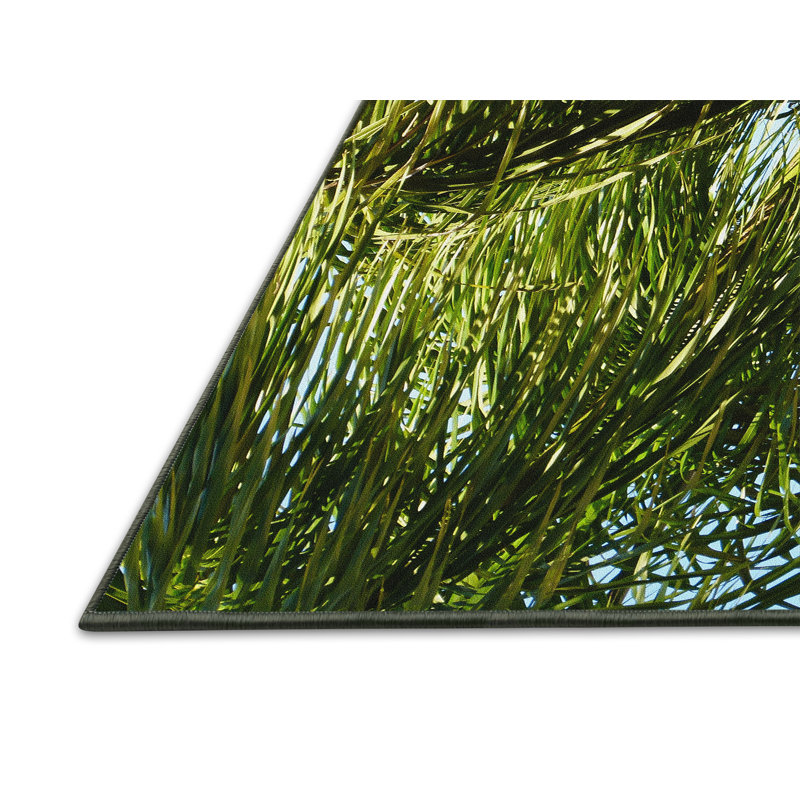 Tapis vert Atwater, Rectangle 2 pi x 4 pi