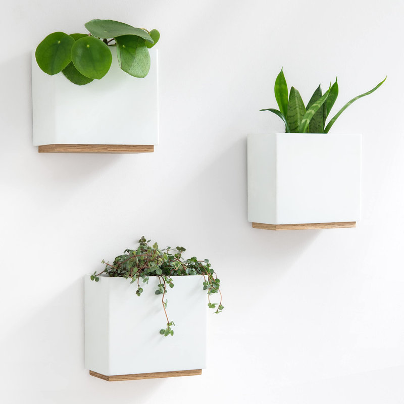Metal Wall Planter, 12.4cm H x 14cm W x 14cm D, White