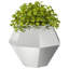  Planter 2 Pcs Silver Galvanised Steel-1622101562