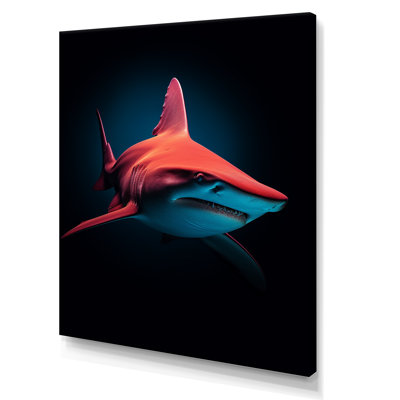 " Red Shark Photo Haven "
