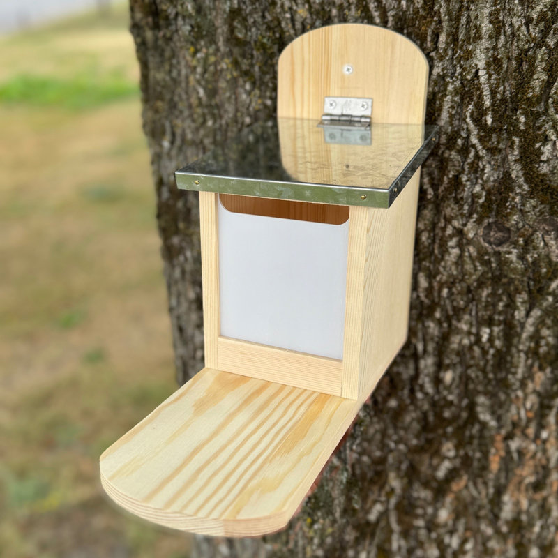 Wall Squirrel Feeder