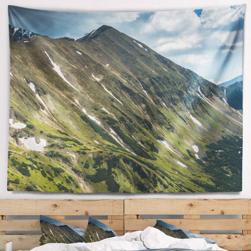 Paysage, montagnes de Tatra, vue panoramique, tapisserie, H 50 po x l 60 po