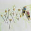 Tropical Wine Charm