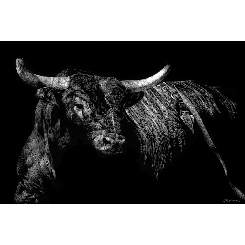 'Brindle Rodeo Bull' by Julie Chapman - Painting Print, 81cm H x 122cm W, Black Floater Framed