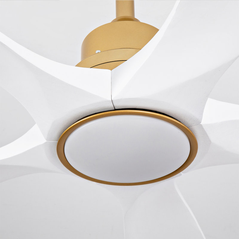 Hot Sales 52 Inch Indoor Ceiling Fans With Lights And Remote Control, Gold, White