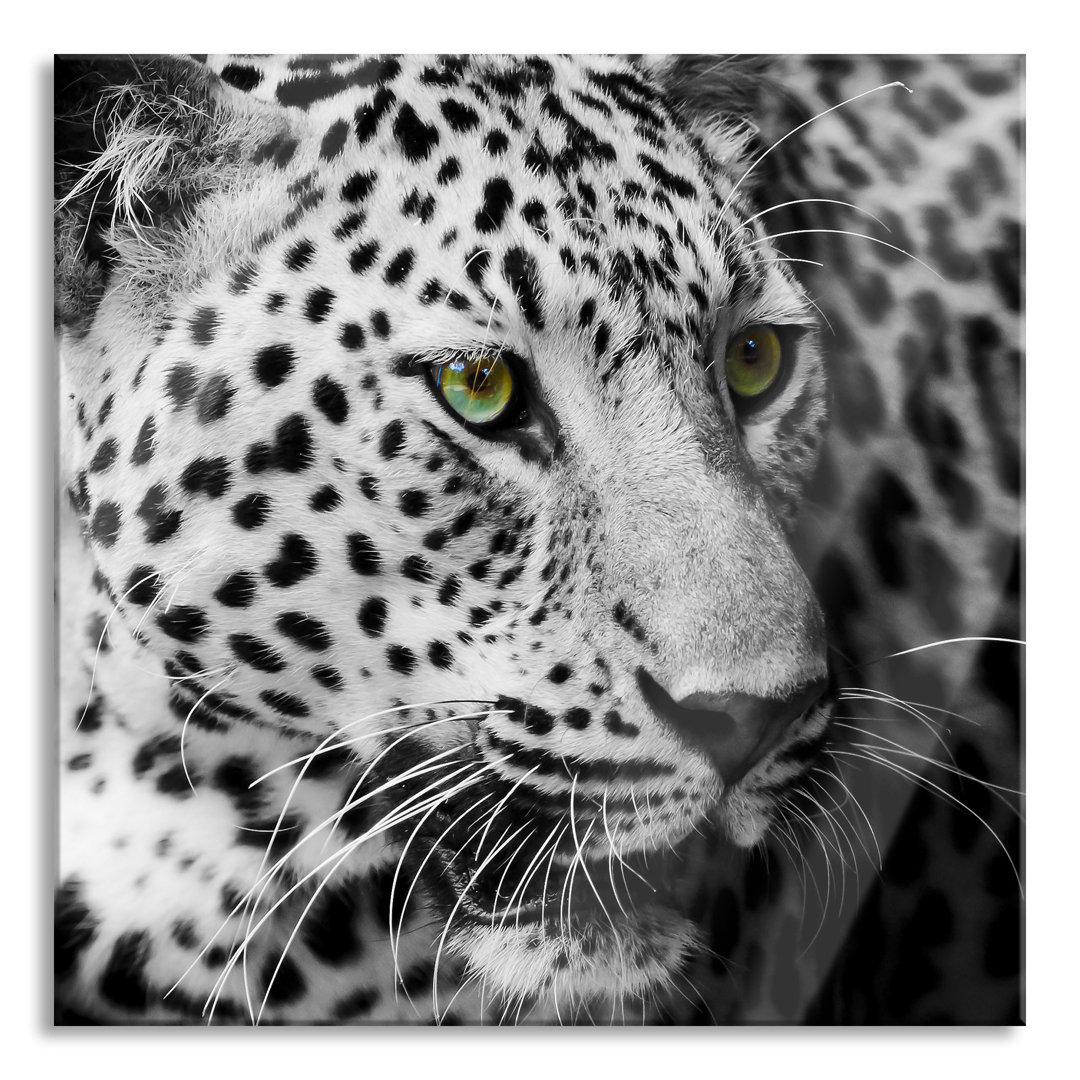 Glasbild Dark Leopard mit grünen Augen