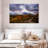 Roadside Aspen Trees-1295004928