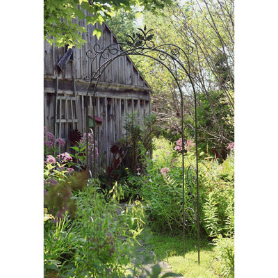 Nastya 48'' W x 16'' D Iron Arbour in Black